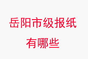 岳陽報紙有哪些,岳陽市級報紙有哪些找我要登報網