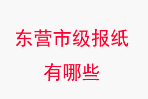 東營報紙有哪些,東營市級報紙有哪些找我要登報網
