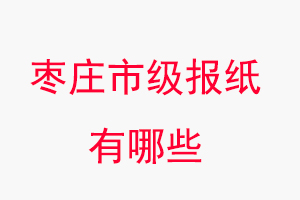 棗莊報紙有哪些,棗莊市級報紙有哪些找我要登報網