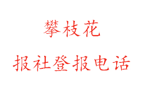 攀枝花報社登報,攀枝花報社登報電話找我要登報網